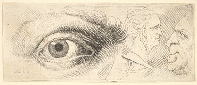 Kaksi silmää ja kaksi päätä, 1644-52. tekijältä Wenceslaus Hollar
