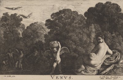 Venus. tekijältä Wenceslaus Hollar