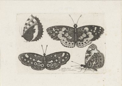 Vier vlinders Hyönteiset (sarjan nimi) Scarab Flies (sarjan nimi) tekijältä Wenceslaus Hollar