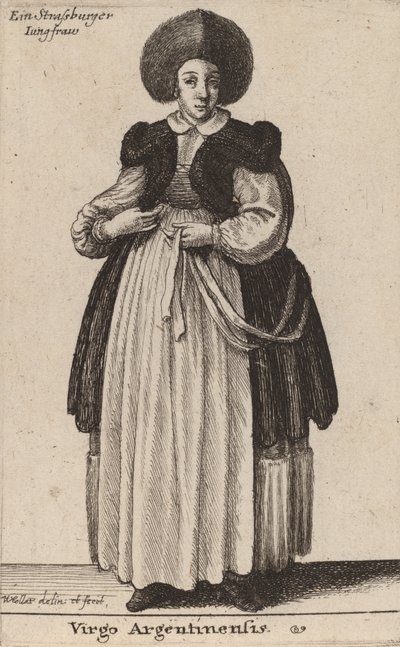 verge argentina. finès tekijältä Wenceslaus Hollar