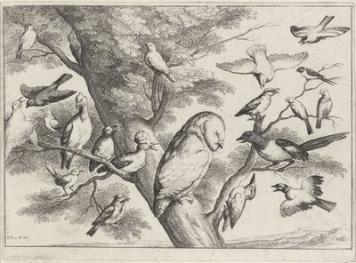 Linnut puussa Erilaisia ​​lintuja (sarjan nimi) tekijältä Wenceslaus Hollar
