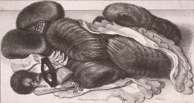 Naisten talvivaatteet, mukaan lukien muffinit, käsineet ja nenäliinat, 1647 tekijältä Wenceslaus Hollar