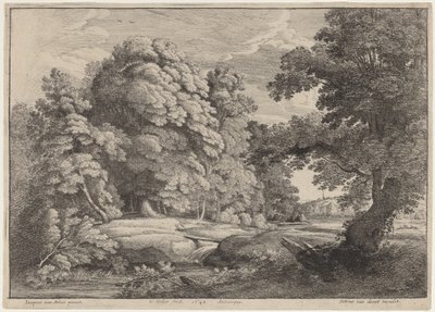 Silta vesiputouksen yli tekijältä Wenceslaus Hollar after Jacques d