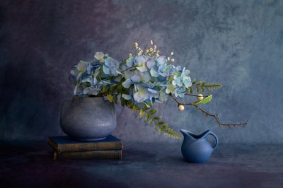  tekijältä Wendy Xu
