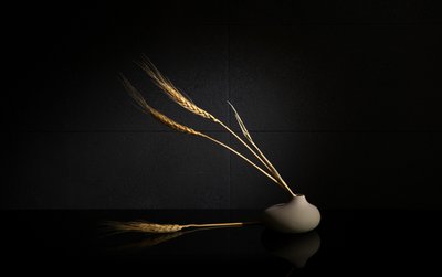  tekijältä Wendy Xu