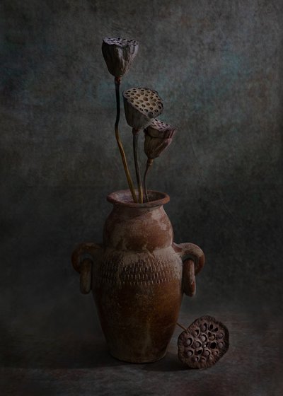  tekijältä Wendy Xu