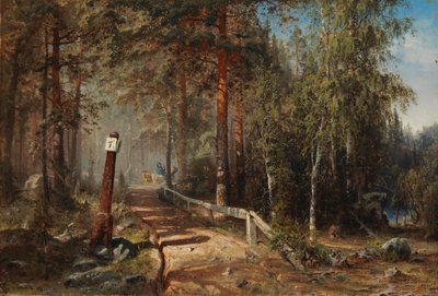 Mail Road Hämeessä tekijältä Werner Holmberg