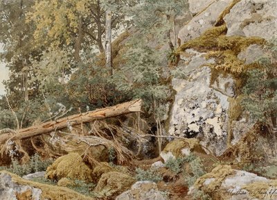 Sammaleinen kallio metsässä tekijältä Werner Holmberg