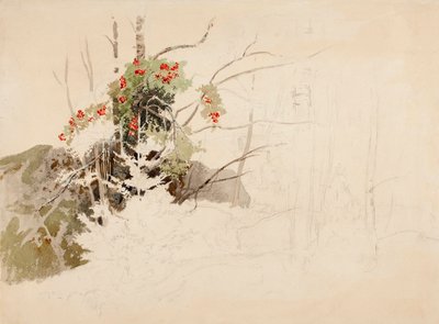 Nimetön tekijältä Werner Holmberg