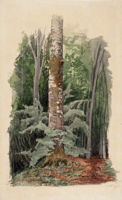  tekijältä Werner Holmberg