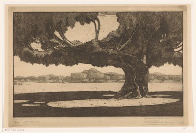 Waringin-puut sulttaanin palatsin puutarhassa Jogyakartassa The Big Tree (alkuperäinen nimi) tekijältä Wijnand Otto Jan Nieuwenkamp (signed by artist)