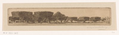 Waringin-puut sulttaanin palatsin puutarhassa Jogyakartassa Jogjakartan aukio (alkuperäinen nimi) tekijältä Wijnand Otto Jan Nieuwenkamp (signed by artist)