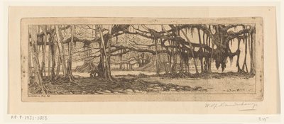 Waringin-puut puutarhassa Buitenzorgissa Buitenzorgin puutarhassa (alkuperäinen nimi) tekijältä Wijnand Otto Jan Nieuwenkamp (signed by artist)