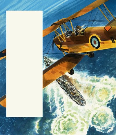 Tiger Moth partioi Britannian rannikolla toisen maailmansodan aikana. tekijältä Wilf (20th century) Hardy