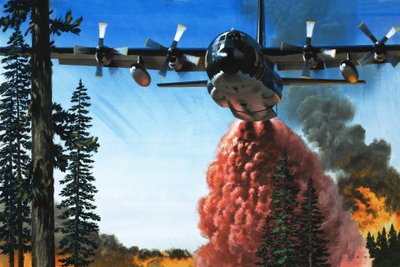 Metsäpalon pommittaminen tekijältä Wilf (20th century) Hardy