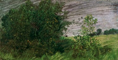 maisema tekijältä Wilhelm Busch