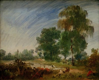 Loppukesän nummi lampineen tekijältä Wilhelm Busch