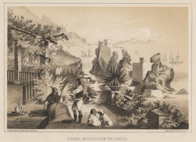 Funchal, Madeira, Corralista, 1885 tekijältä Wilhelm Joseph Heine