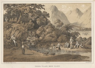 Kanaka Village Bonin Islands, 1855 tekijältä Wilhelm Joseph Heine