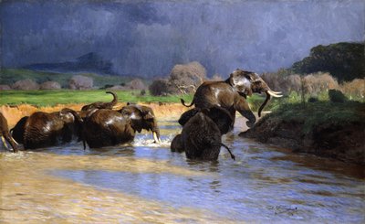Elefanttien uiminen; Uivia norsuja, 1908 tekijältä Wilhelm Kuhnert