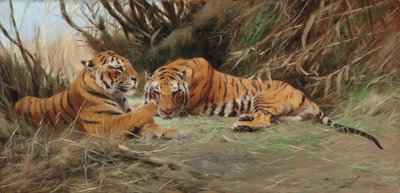 Tigers at Dawn, 1913 tekijältä Wilhelm Kuhnert