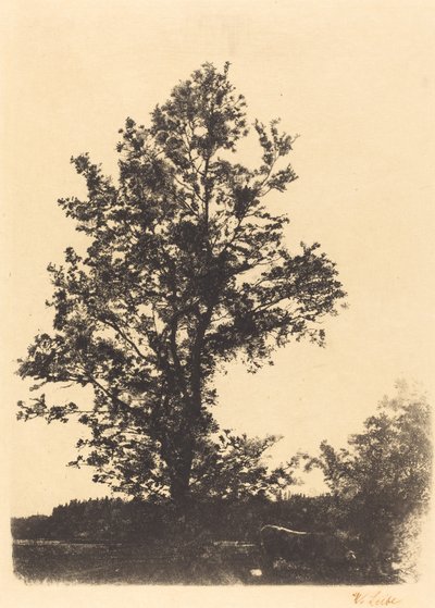 Suuri puu tekijältä Wilhelm Maria Hubertus Leibl