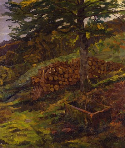  tekijältä Wilhelm Trübner