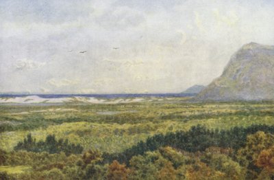Constantia Valley ja False Bay sekä Cape Point (värilitro). tekijältä Wilhelm Westhofen