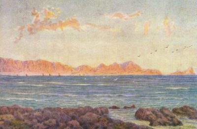 False Bayn eteläosa ja Cape Hangclip (värilitro). tekijältä Wilhelm Westhofen