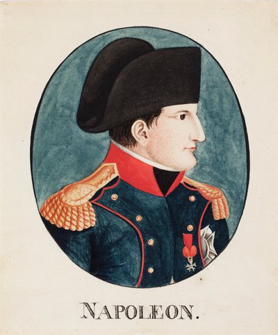 Napoleon tekijältä Wilhelm von Wright