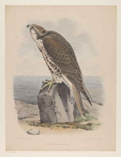 Valk Le sacre hagard (otsikko esineessä) tekijältä Willem Bastiaan van Wouw