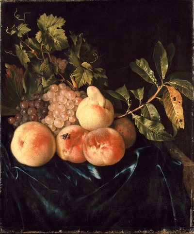 Persikoiden ja viinirypäleiden asetelma, 1705 tekijältä Willem Frederiksz van Royen