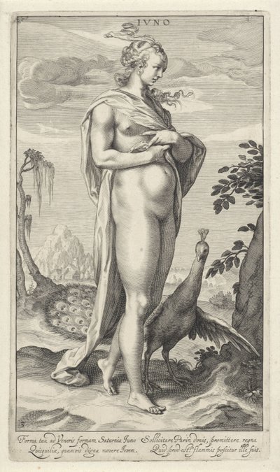Juno riikinkukon kanssa Iuno (otsikko esineessä) Pariisin tuomio (sarjan nimi) tekijältä Willem Isaacsz. van Swanenburg