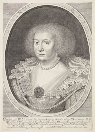 Amalia van Solmsin muotokuva tekijältä Willem Jacobsz Delff