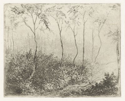 metsäinen maisema tekijältä Willem Matthias Jan van Dielen