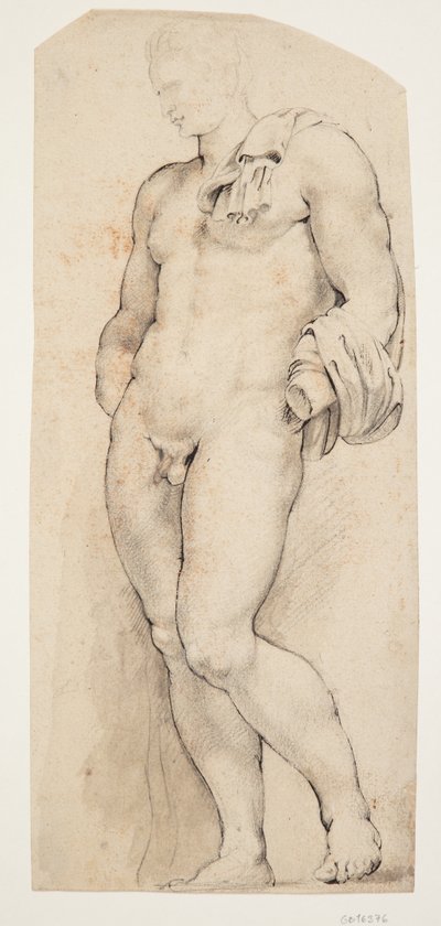 Puoliksi nähdyn antiikkiveistoksen "Belvedere Antinous" etupuoli kääntyi vasemmalle tekijältä Willem Panneels