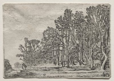 Maisemasarja: Kaksi lankkkuaitaa, 1616. tekijältä Willem Pietersz Buytewech