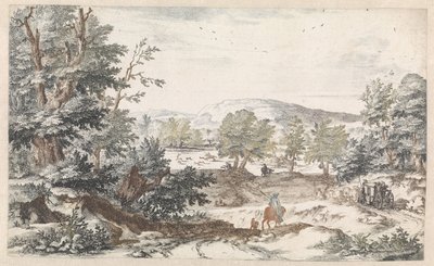 Metsäinen maisema tiellä tekijältä Willem Swidde