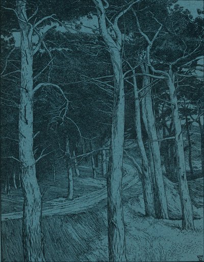 Woodland, vuodelta 1912 tekijältä Willem Wenckebach