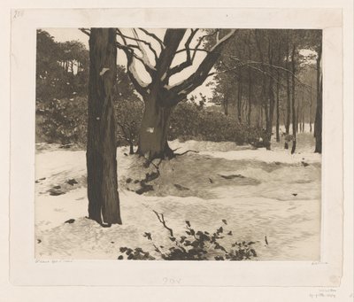 Luminen metsämaisema Edessä tekijältä Willem Witsen (signed by artist)