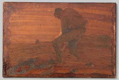 harvesteri tekijältä Willem Arnoldus Witsen