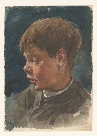 pojan kasvot tekijältä Willem Arnoldus Witsen