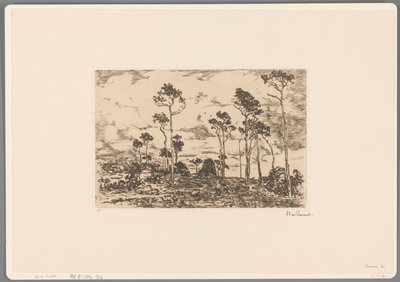 Maisema, jossa on paljaita puita ja puunhakkureita Ladataan lehtiä (alkuperäinen nimi) tekijältä Willem de Zwart (signed by artist)