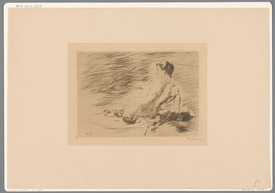 Makaava alaston nainen Makaava alaston (alkuperäinen nimi) tekijältä Willem de Zwart (signed by artist)