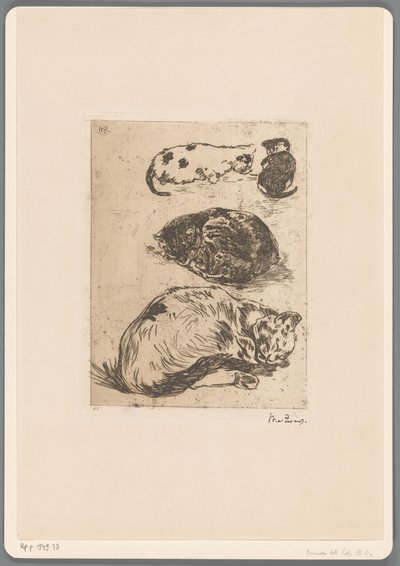 Kissojen tutkimus (alkuperäinen nimi) tekijältä Willem de Zwart (signed by artist)