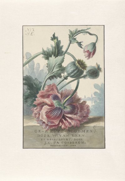 unikot Otsikkopainatus: W. van Leen ja J.C. & JOO. Coebergh, Etched Flowers, 1804 tekijältä Willem van Leen