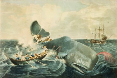 Spermavalaan pyydystäminen, kaiverrettu J. Hillin toimesta, julkaistu 1835 (väriakvatintti). tekijältä William (after) Page