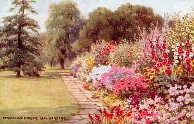 Ruohoraja, Kew Gardens tekijältä William Affleck Carruthers
