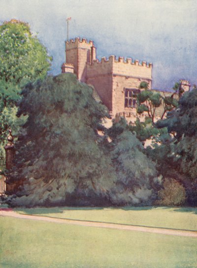 Wadham College Trinity Collegen puutarhasta käsin (värilitografia). tekijältä William Ainsworth Wildman