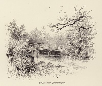 Silta lähellä Brockenhurstia (kaiverrus) tekijältä William Alexander Ansted